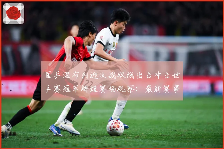 国乒温布利迎决战双线出击冲击世乒赛冠军辉煌赛场观察：最新赛事动态与深度分析